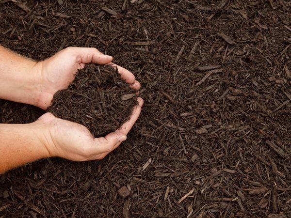 Event Image - 701QP00001KvqIqYAJ